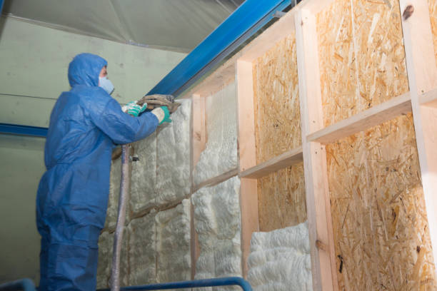 Insulation Repair Services in Archbald, PA