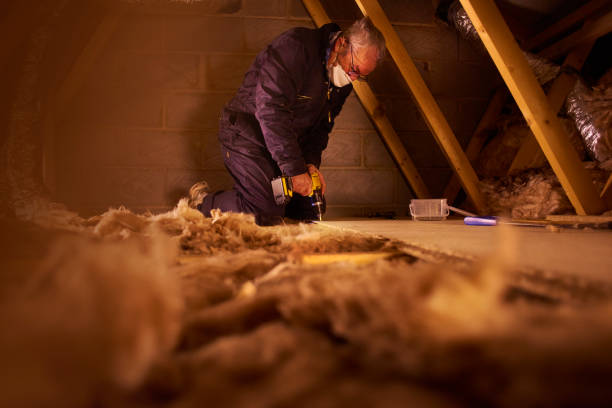 Best Insulation Replacement Services  in Archbald, PA